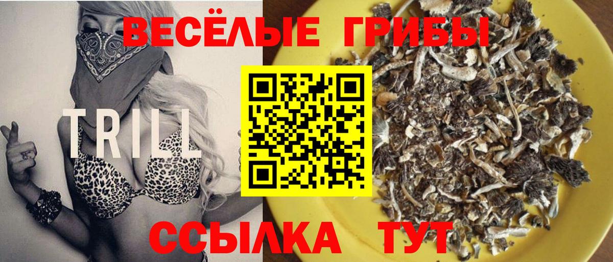 Урай  Галлюциногенные грибы мухоморы  Галлюциногенные грибы мицелий  Вход с VPN 